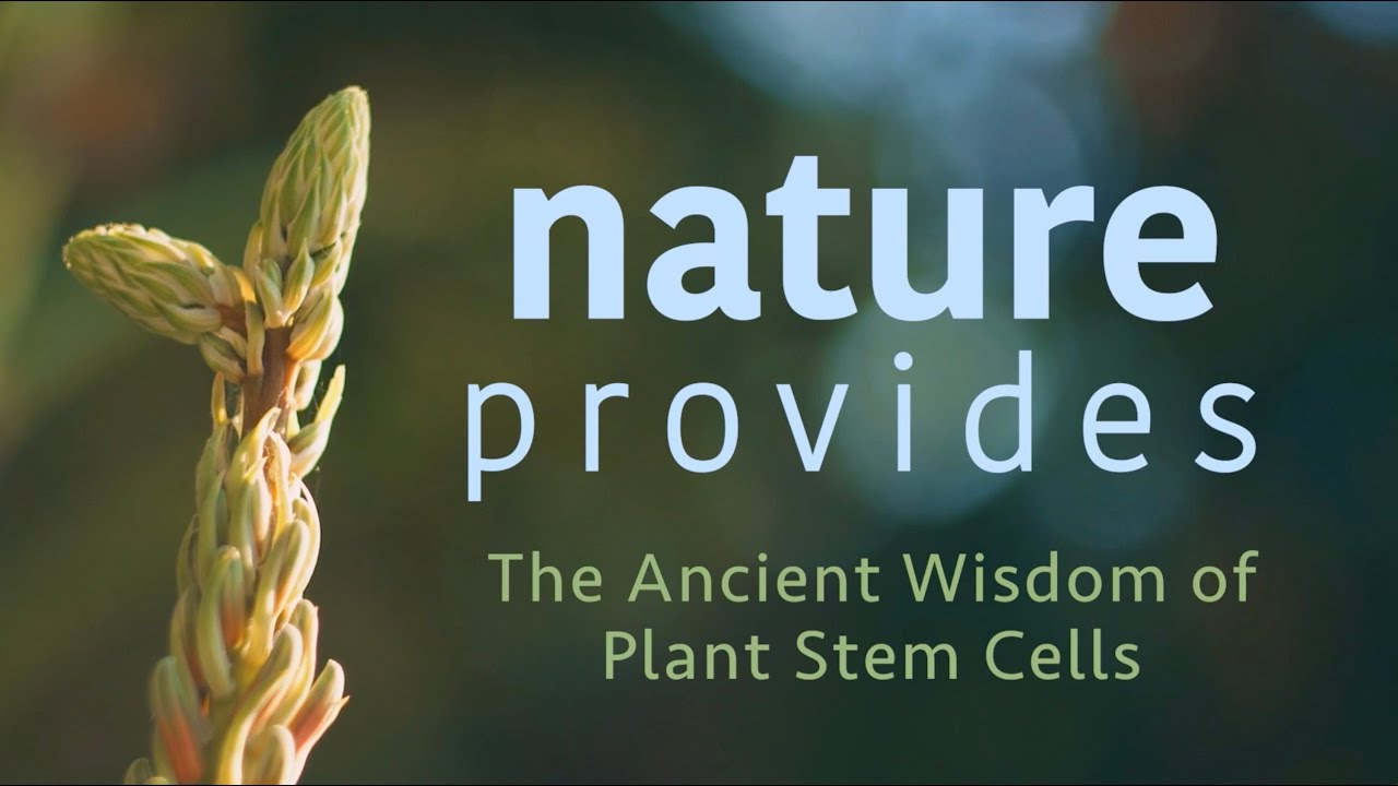 Nature Provides, The Ancient Wisdom of Plant Stem Cells | Official Trailer