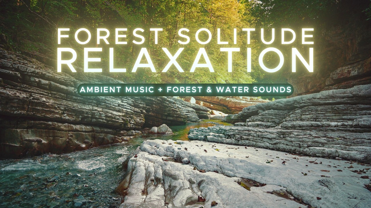 AMBIENT MUSIC || Forest Solitude (Ambient Music + Forest/Flowing Water Sounds)