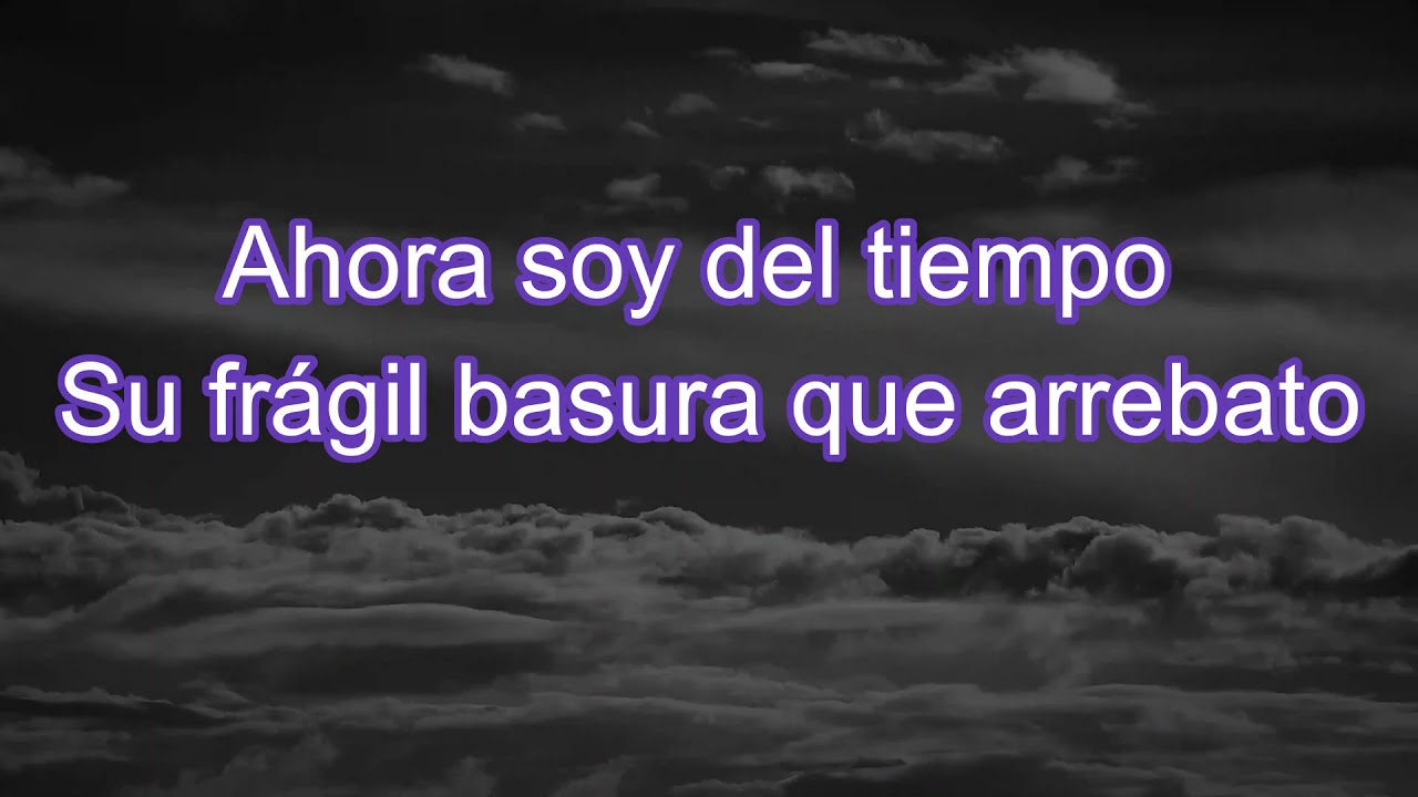 Dueto Los Armadillos- Mis Tiempos Pasados (Lyric)