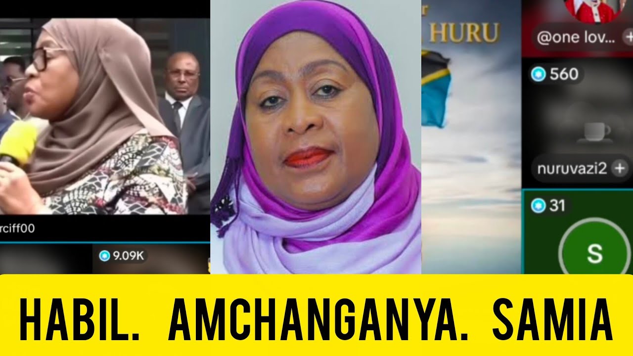 SAMIA SULUHU ACHANGANYWA NA GENZ MTANZANIA ANAYEISHI ULAYA 
