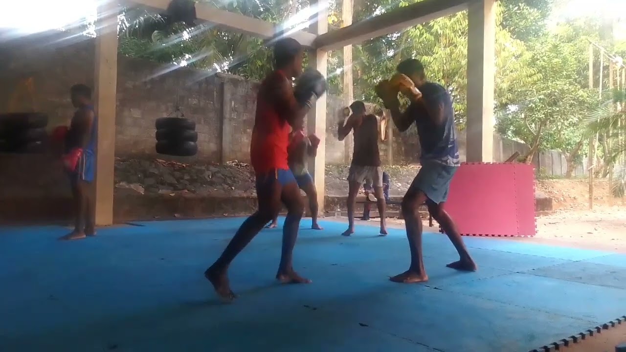 Wushu sanda part 07 - parner trening , tayer , boxsing - වූශු කරමුත