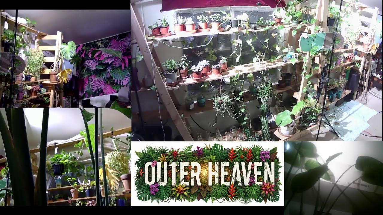 Gaming_Rich Live Stream