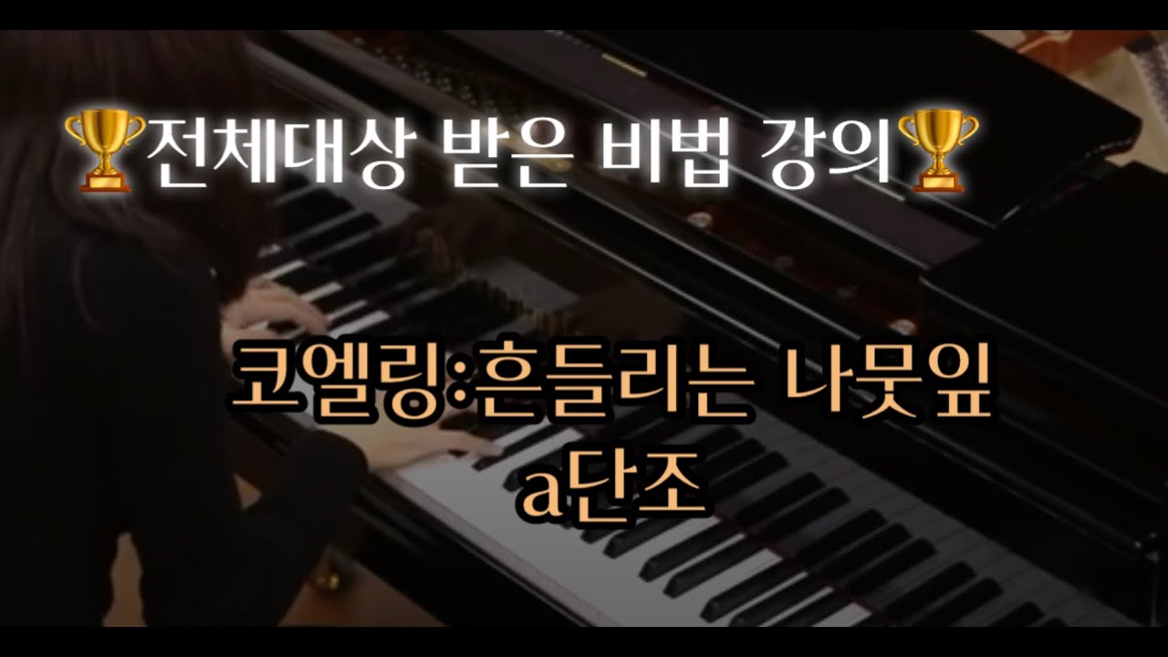 전체대상 받는 비법 강의 - 코엘링 흔들리는 나뭇잎