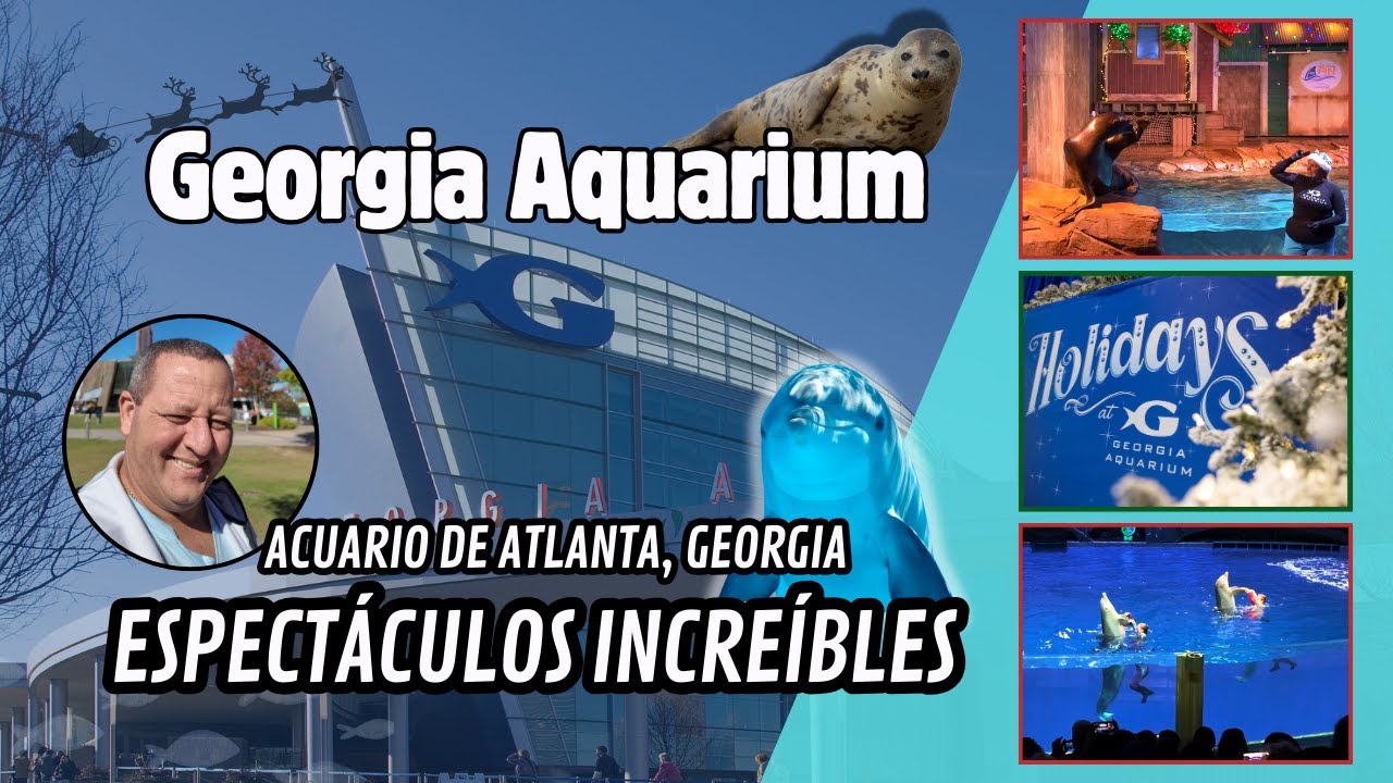 ¡Espectáculos Increíbles! Georgia Aquarium - Acuario de Atlanta, GA