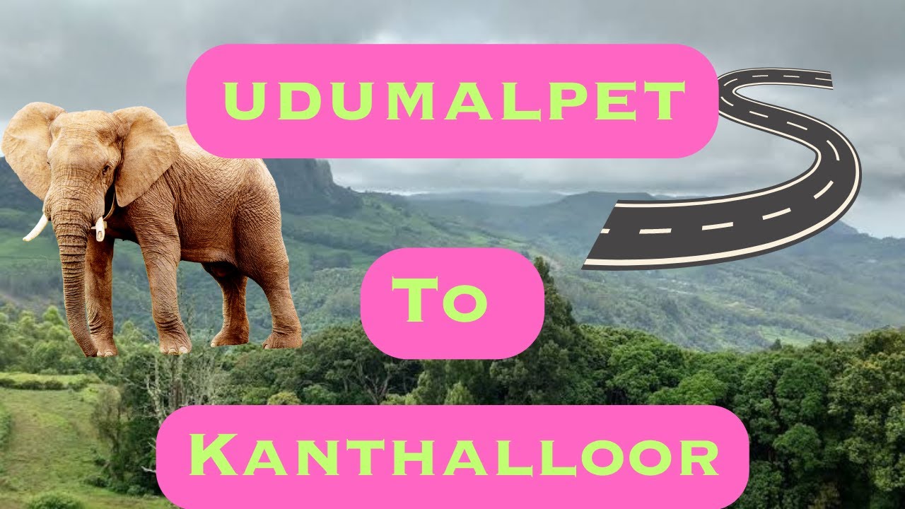 udumalpet | udumalpet to kanthalloor | kanthalloor #vazhikaattiதமிழ் #kerala #kanthaloor