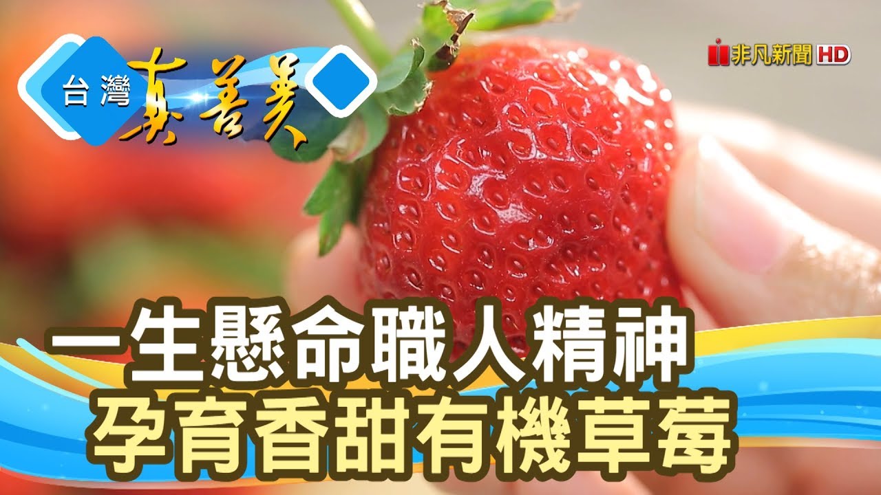 要用搶的“有機草莓”│老糖廠生態農場│【台灣真善美】2020.02.23