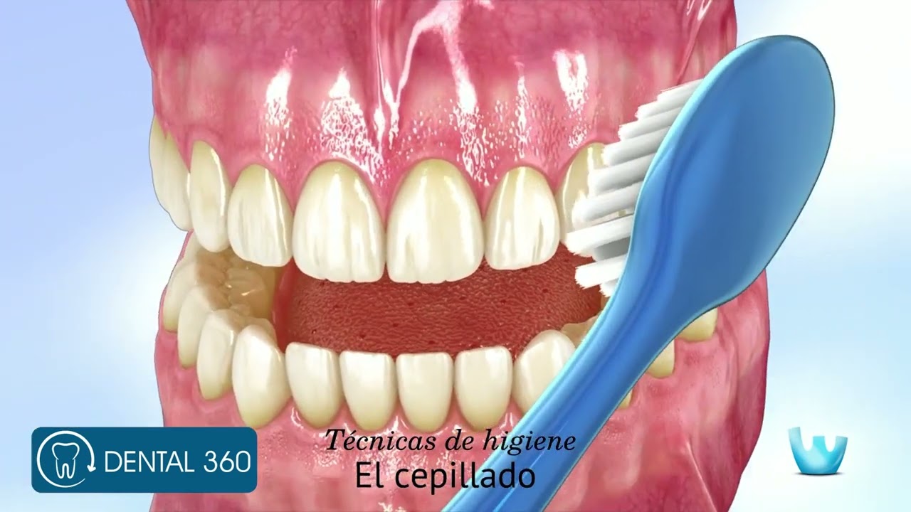 Técnica del Cepillado - Dental 360 EC