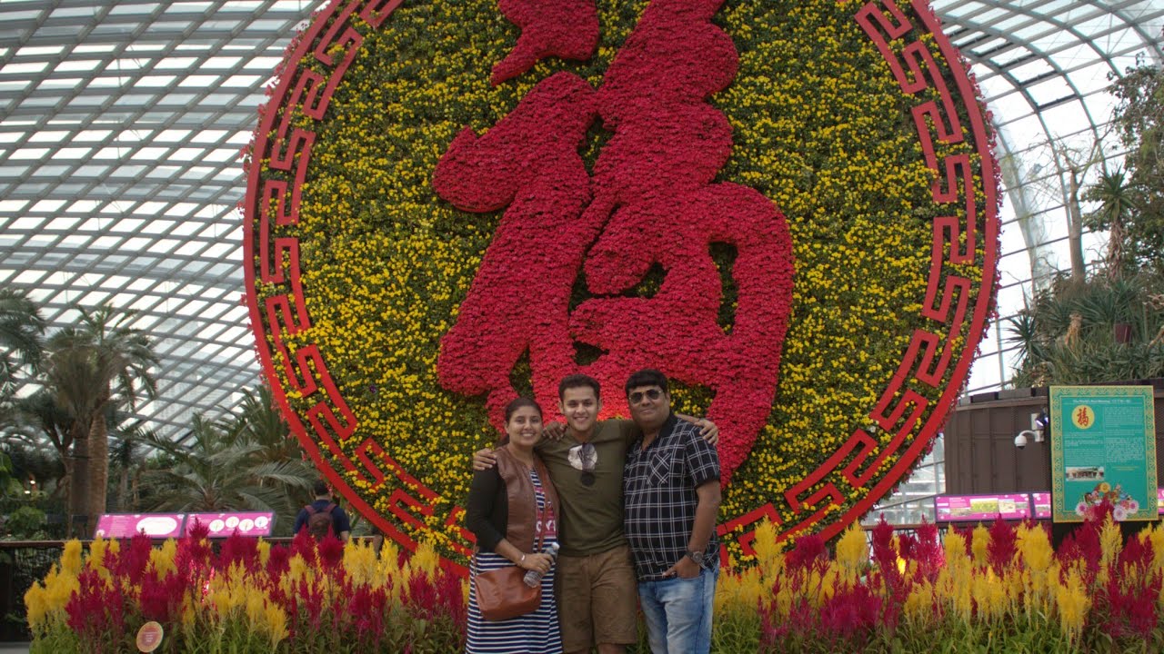 Singapore Trip | D3 Parivar | Family trip 🤍👨‍👩‍👦