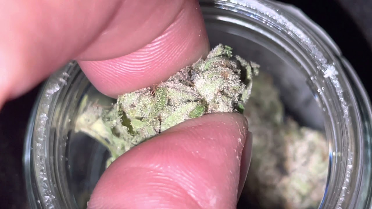 #sourpowerog #strains #lavegasnevada