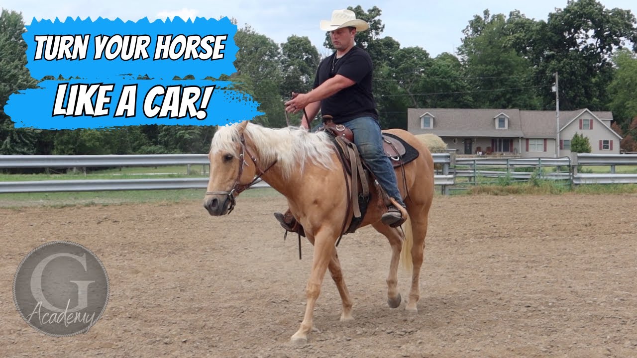 How to Add POWERSTEERING to Your Horse