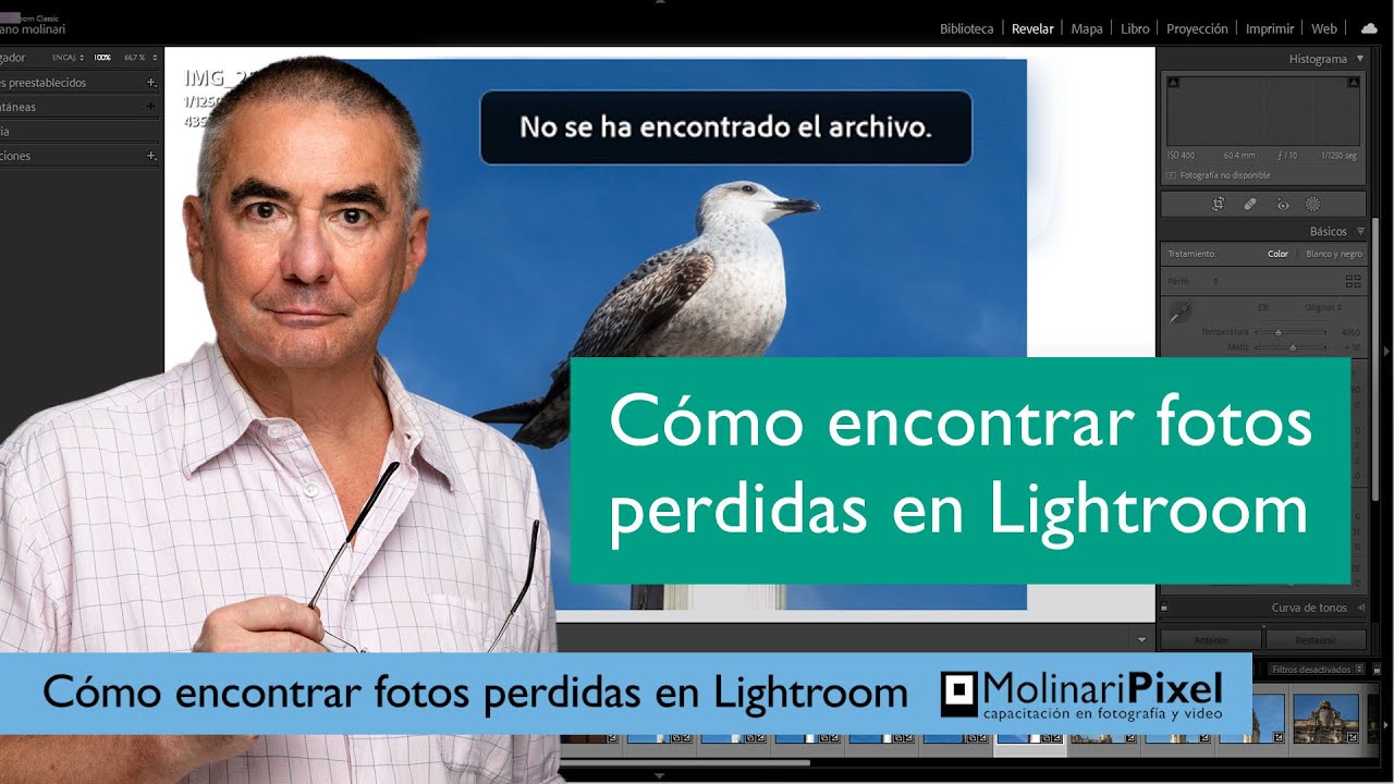 Como encontrar fotos perdidas en Lightroom