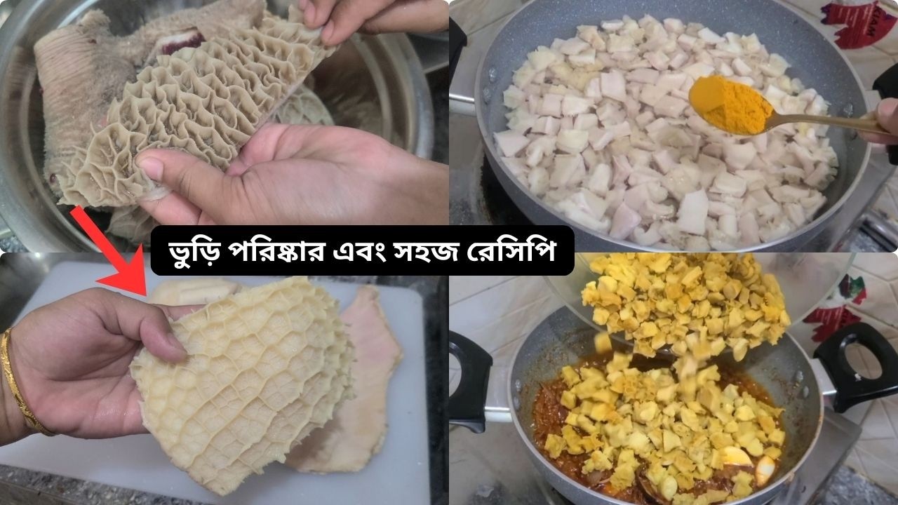 গরুর ভুড়ি কিভাবে খুব সহজে পরিষ্কার করতে হয় এবং রান্না করতে হয় // বট ভুনা // bot recipe