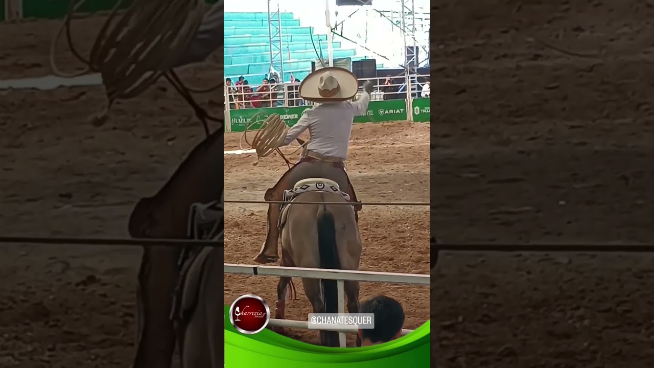 Francisco 