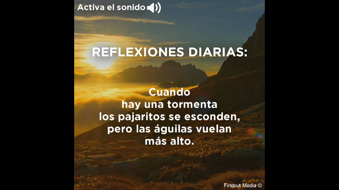 Reflexiones que llenarán tu alma de bondad