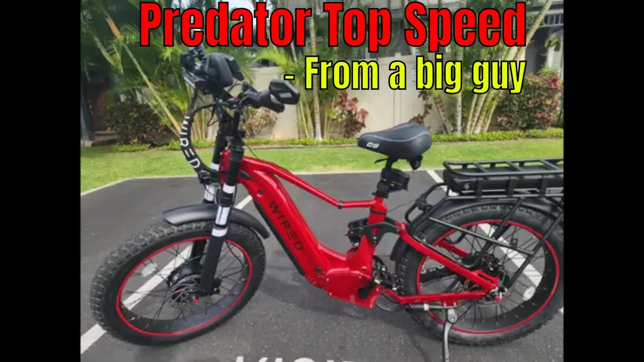 Wired Predator: Top Speed Test from a Big Dude