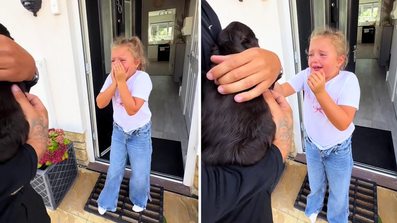 The Most Priceless Moments That Will Melt Your Heart | Emotional Reactions