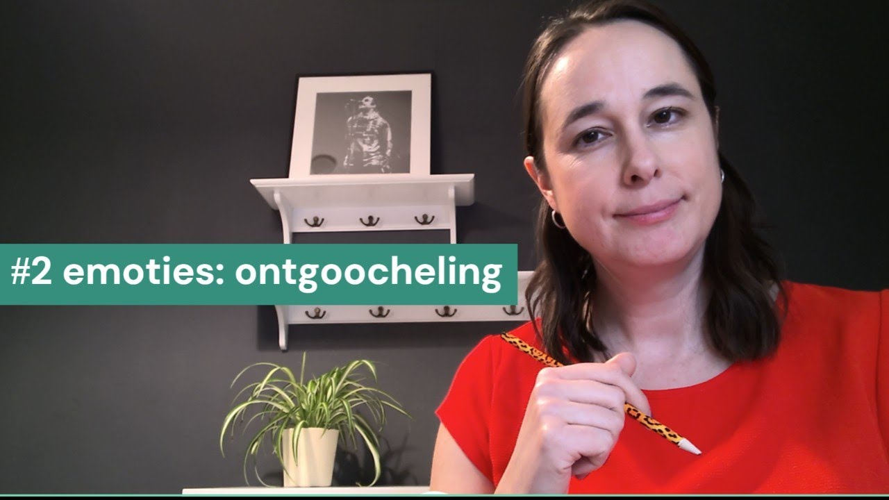 zakelijk Nederlands B1/B2 #2 emoties: ontgoocheling (disappointment) #learndutch#nt2#nederlandsleren