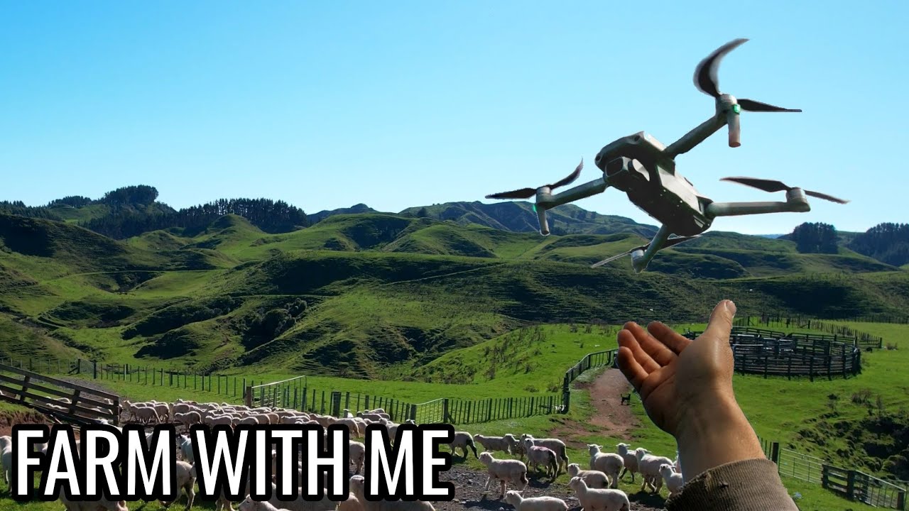 The Future of Herding Sheep - New Zealand Drone Mustering