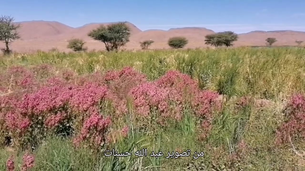 جولة ربيعية رمضانية في حقول وواحة ألوكوم بإقليم طاطا من 17 مارس إلى 20 منه 2025