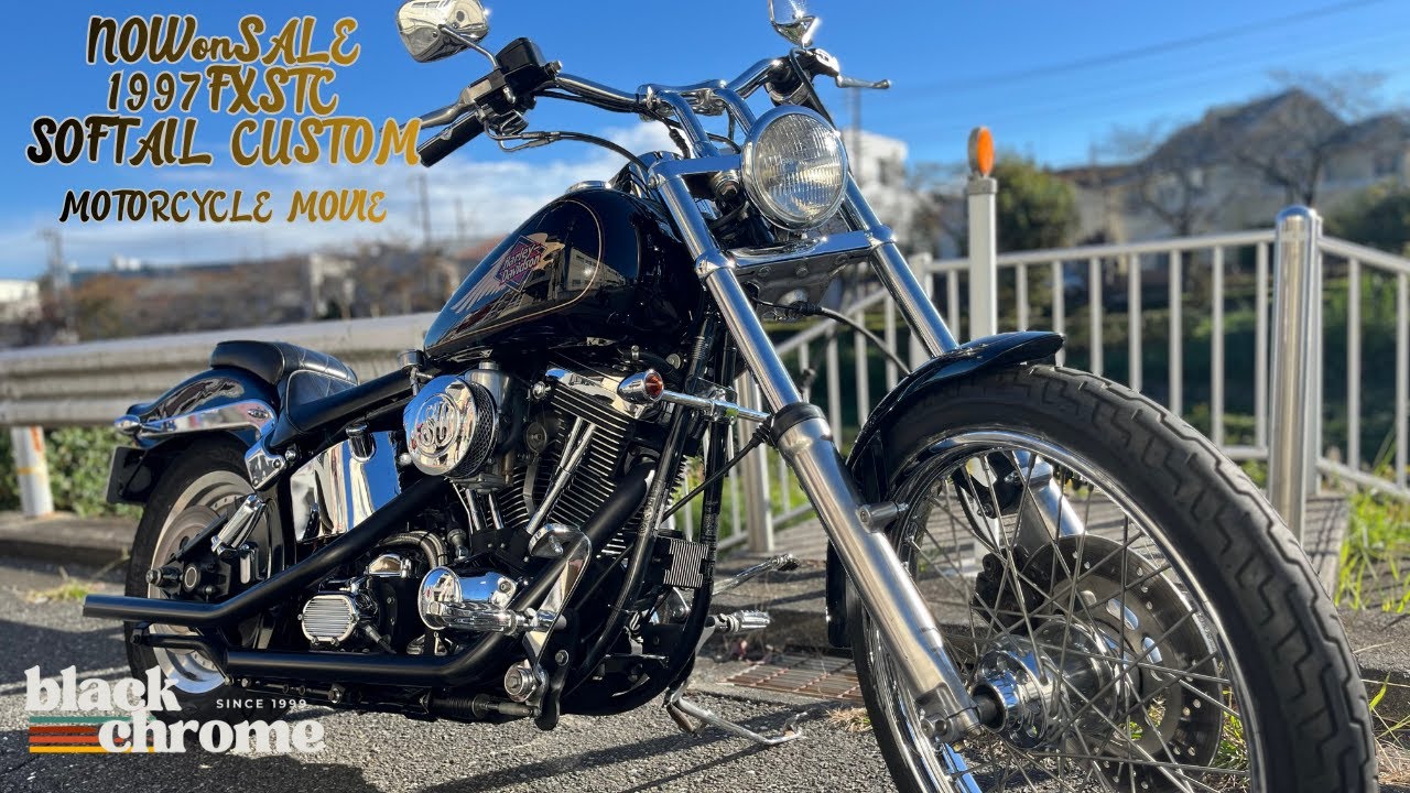 1997 fxstc エンジン始動動画