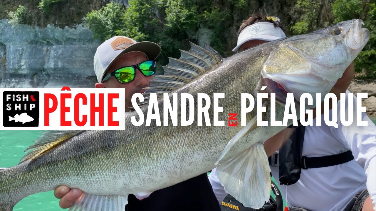 PÊCHE PÉLAGIQUE au LIVESCOPE : Rémi SEIGLER cartonne !