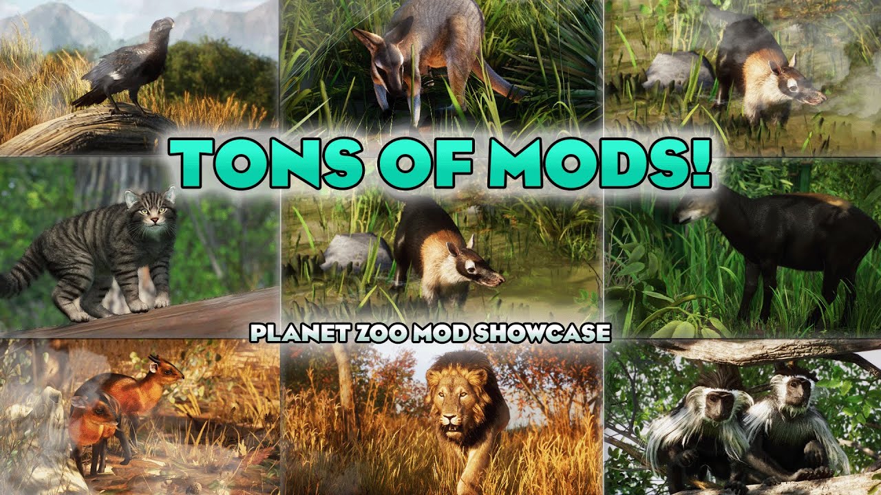 🐸 Tons of Mods! 30+! New Species! | Planet Zoo Mod Showcase