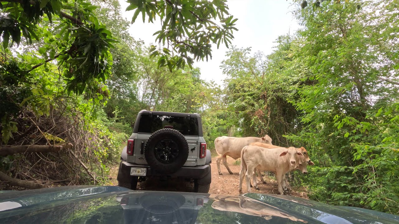 Uphill Adventure 4x4: Con sabor a campo Coamo, PR 🇵🇷
