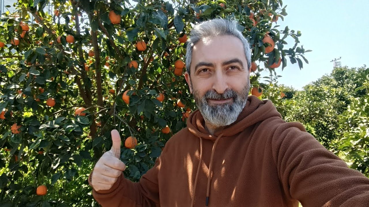 Halka Arzlar Tavanladı G&uuml;n Ortasında Son Rakamlar GENKM NETCD SVGYO LXGYO MCARD