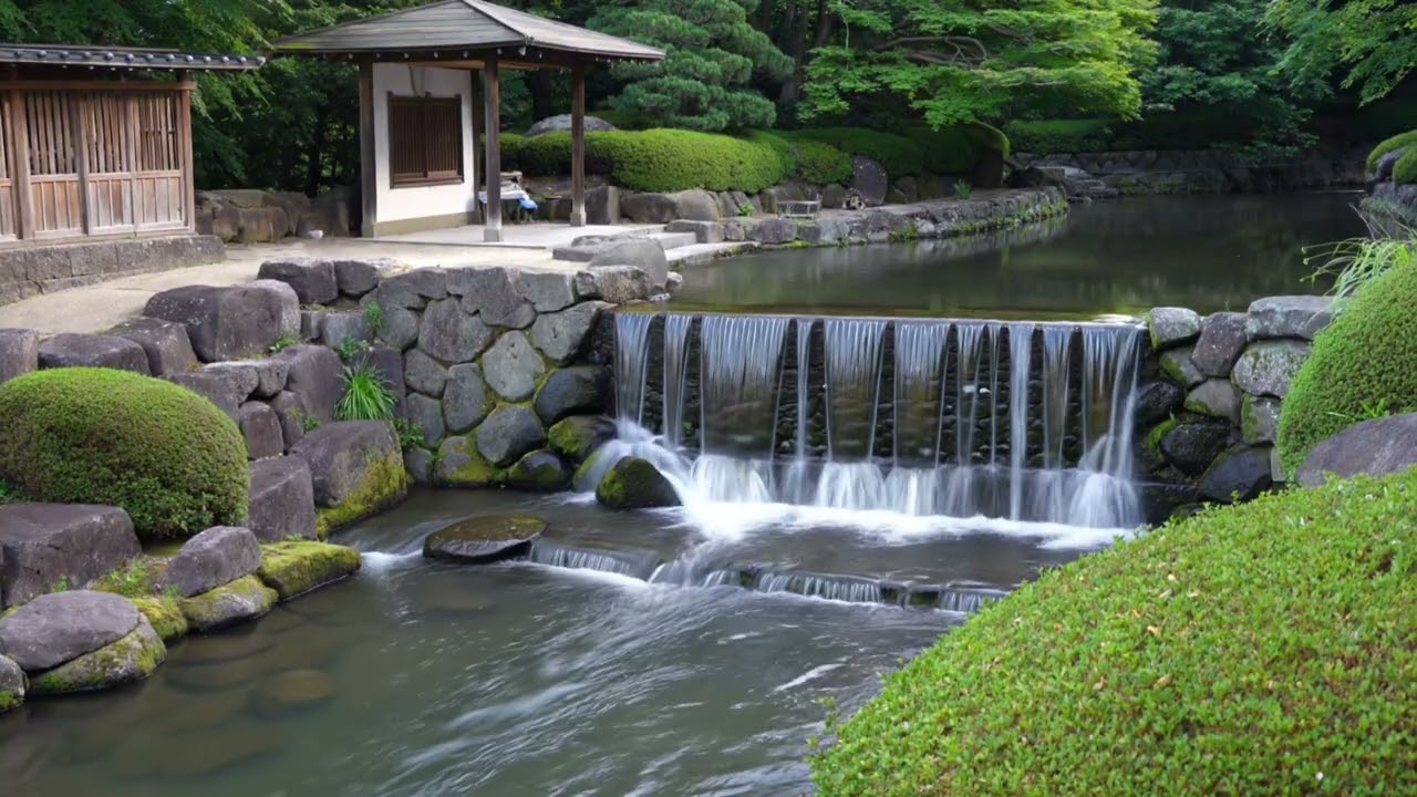Relax with this amazing waterfall sound!