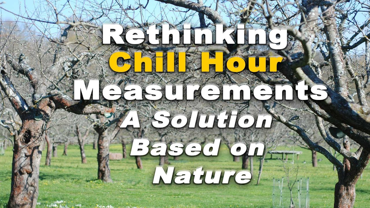 How to Increase Tree Chill Hours