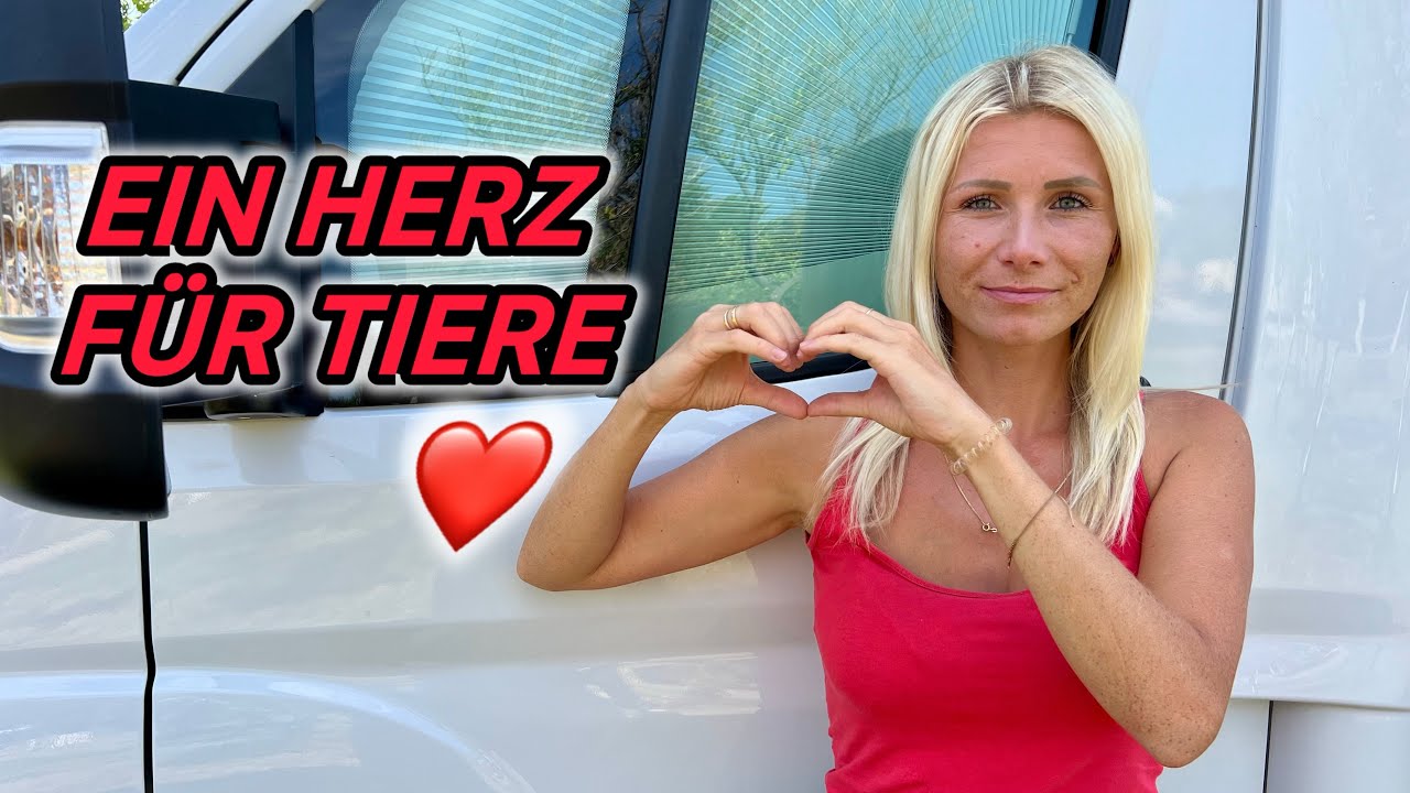 Gnadenhof 🐶🐴Wir helfen gerne | Ayuj Höhlen | Fuerteventura Tour #17