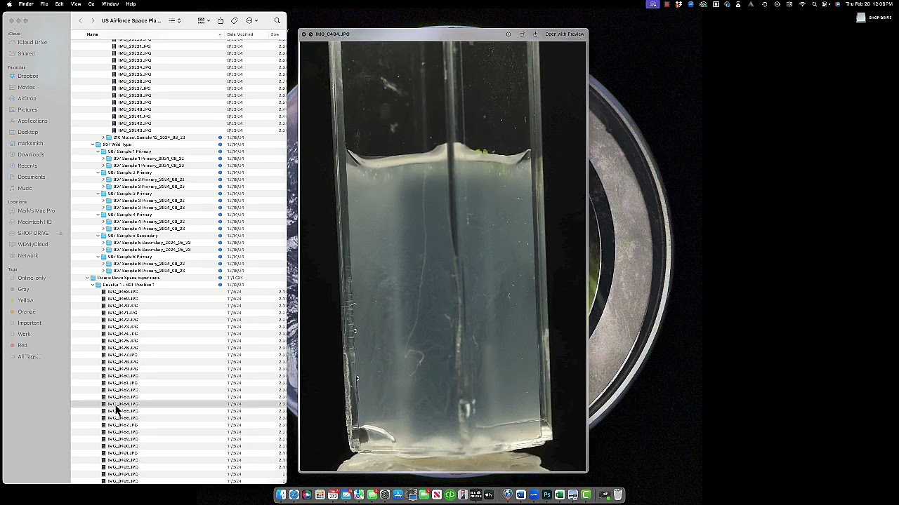 Batch 3D Modeling of Arabidopsis Roots from Polaris Dawn Using Macropod PRO 3D & Metashape