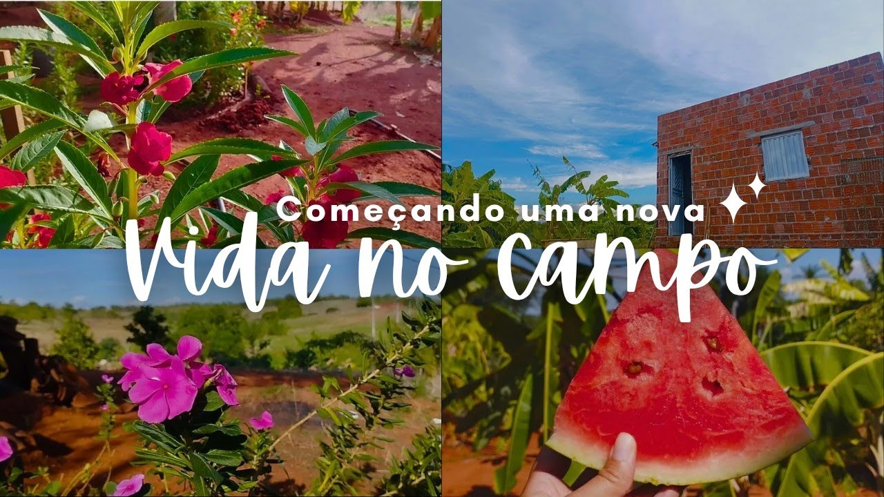 VIDA NO CAMPO | MUDAMOS PARA O SÍTIO 