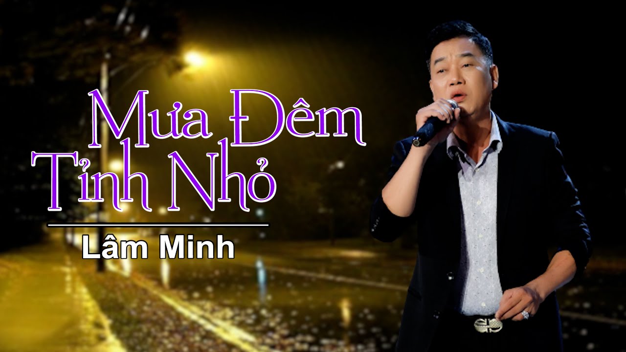 MƯA ĐÊM TỈNH NHỎ || LÂM MINH || Nhạc Xưa Để Đời.