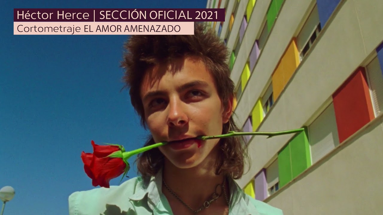 Entrevista Cortometraje EL AMOR AMENZADO de H&eacute;ctor Herce / Secci&oacute;n Oficial