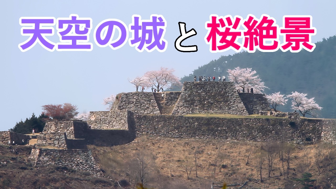 「天空の城」竹田城の桜絶景！( 出石城・篠山城の桜 ) / Spectacular view of Cherry Blossoms and Japanese Castles! [ 4K ]
