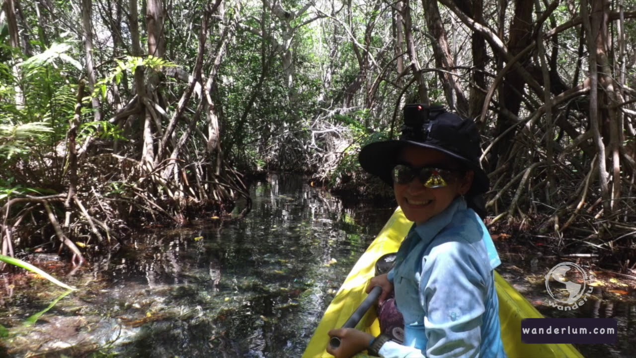 Eco tour in Merida - enjoy the Yucatan coast