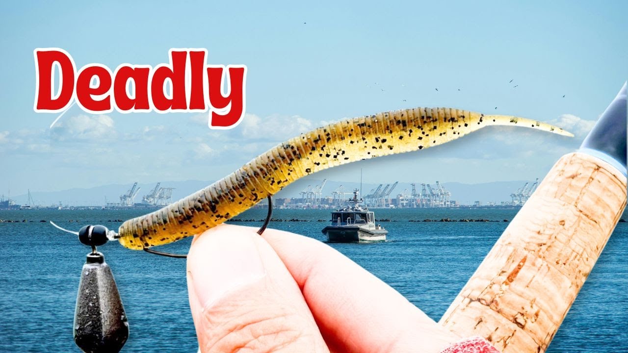 Bass Bait in the Ocean – How Japanese Anglers Fish Keitech Sexy Impact