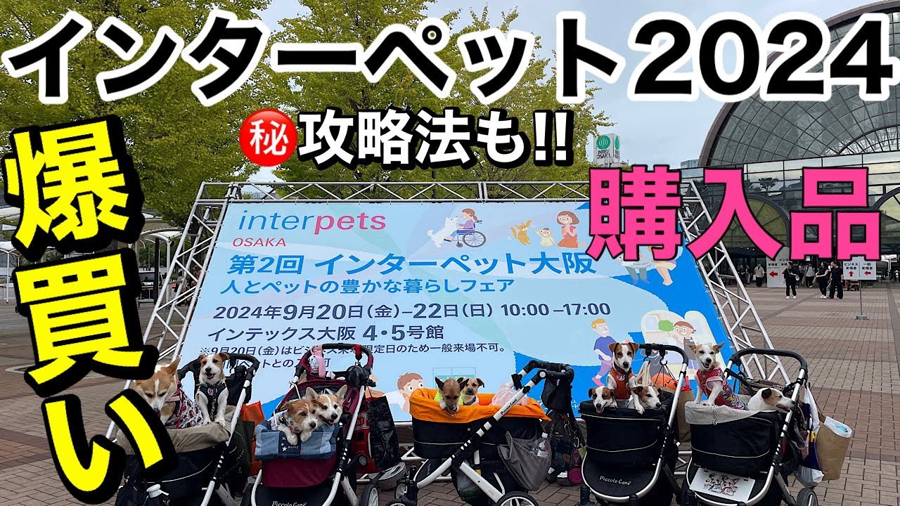 インターペット大阪　2024で爆買い!!