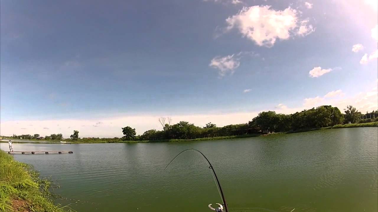 Fly Fishing for Giant Snakehead in Thailand