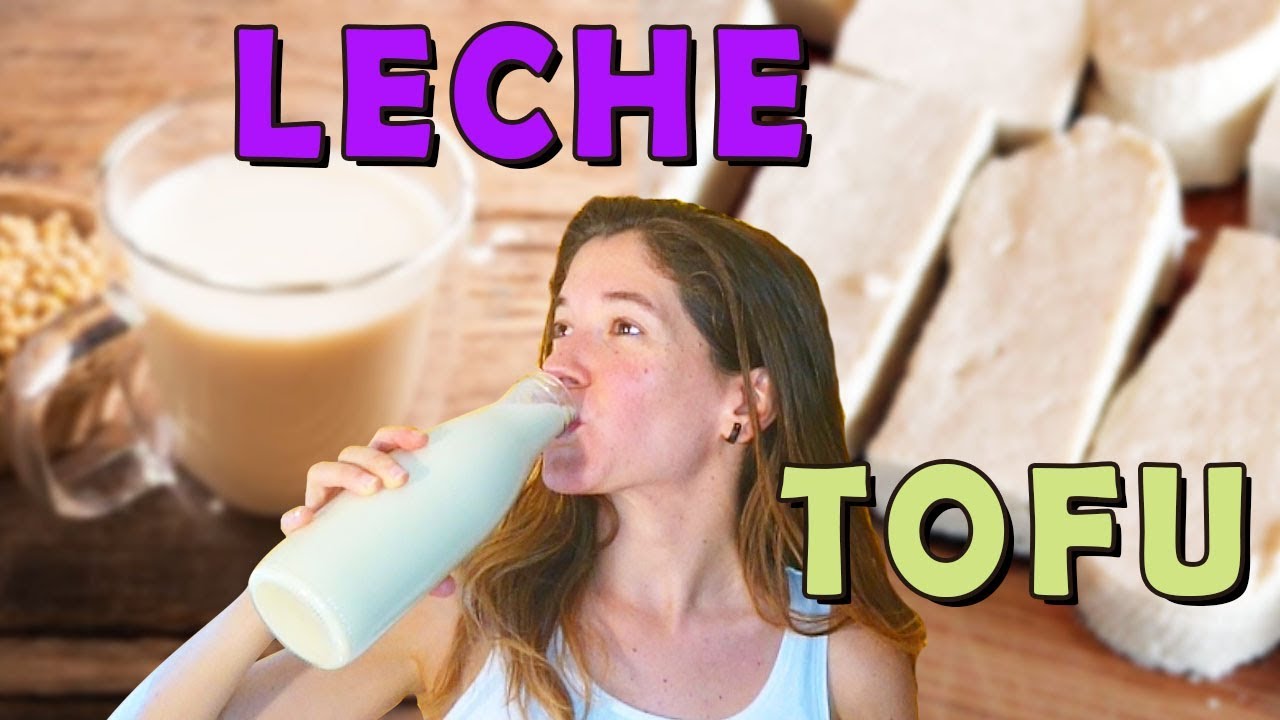 Como hacer leche de SOYA y TOFU