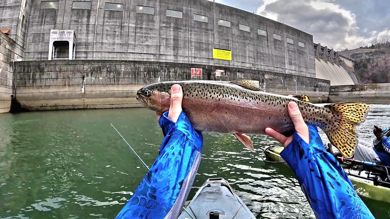 We Kayak Fished Below This Big Hydro Dam! Wolf Creek Dam (Trout and Walleye!)