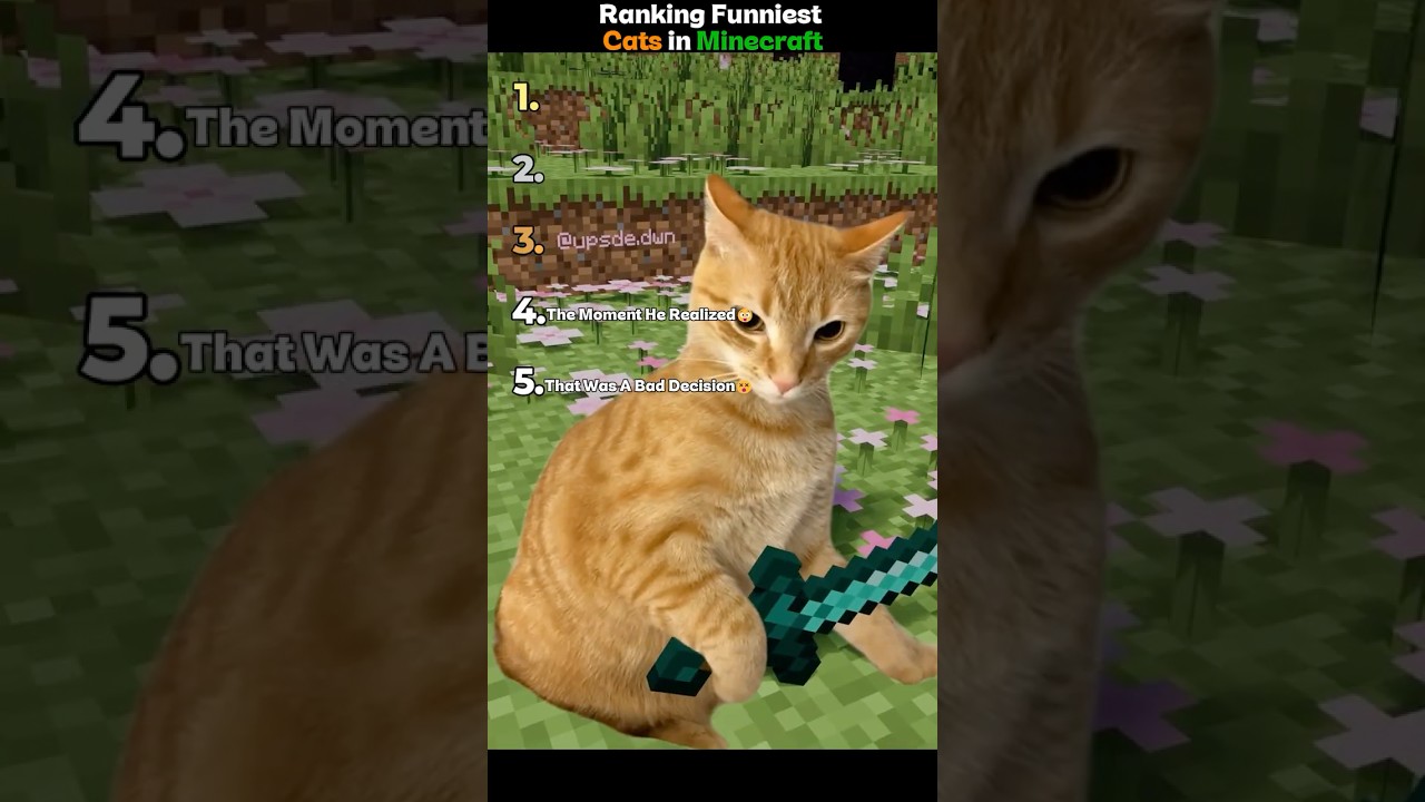 Ranking Funniest Cats in Minecraft🧱 part 3