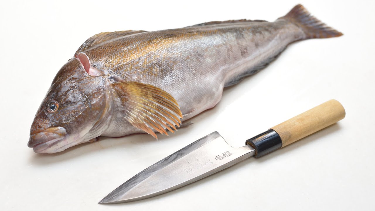 関孫六 出刃包丁で巨大アイナメを捌く Filleting Fish