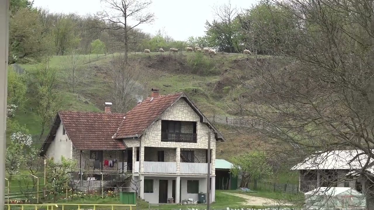 Homoljska razglednica selo Vukovac