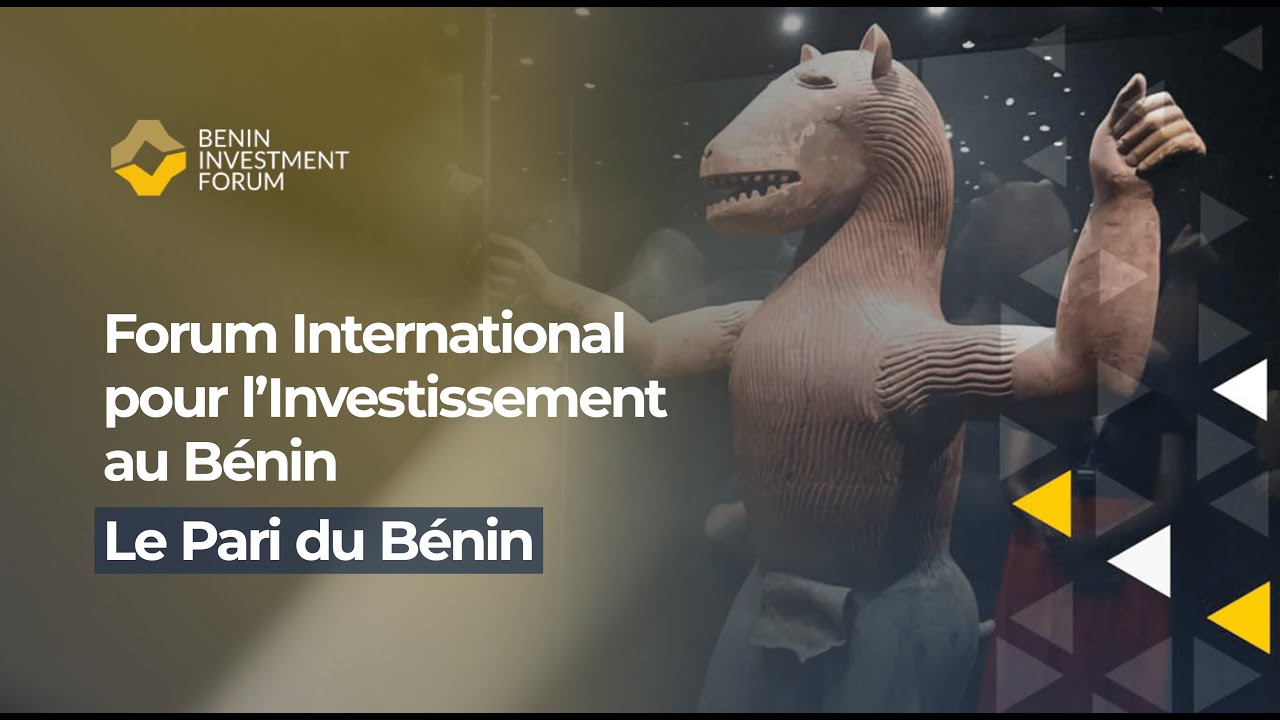 Benin Investment Forum 2023 - Interview #7 - Issa ARI