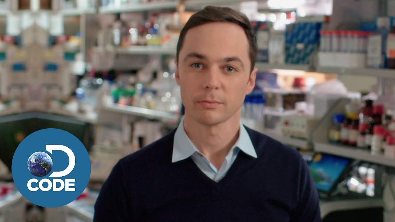 First In Human EP4 (1/6) | Progress in Bo and Deidra's Treatment & Lucy's Bone Marrow Transplant