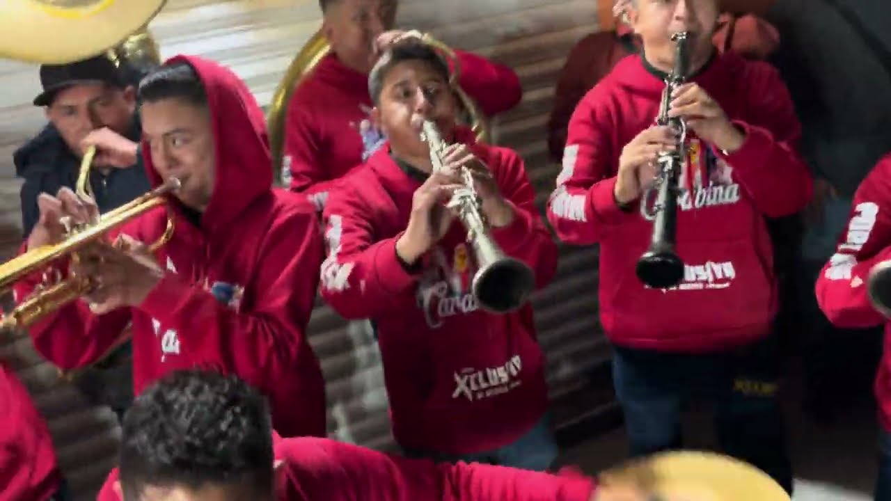 AMORES DE MONTAÑA - BANDA LA XCLUSIVA DE MÉXICO 