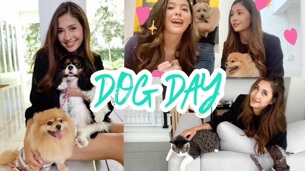 DOGDAY [English VLOG] EP3 Dogs are the best!