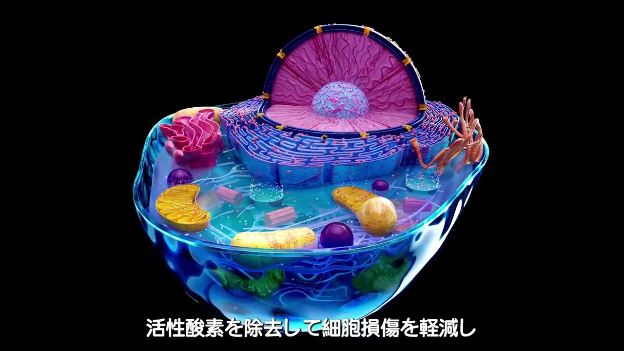 技術概要: ホメオスタティック．システミンス™とは何ですか？